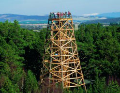Activity Landmark Forest Theme Park